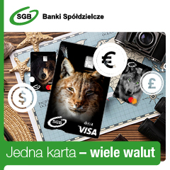 Grafika przedstawia 3 karty debetowe czarne ze zwerzętami Ryś, Niedzwiedźi wilk, które są położone na drewnianym blacie na...