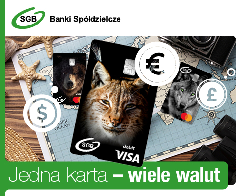 Grafika przedstawia karty płatnicze reklamujące wielowalutowosc